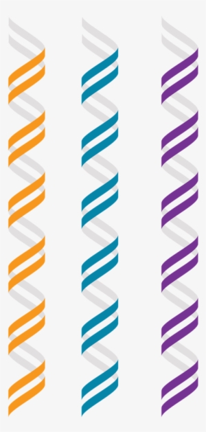 Genomics,double Helix,right Hand - Dna