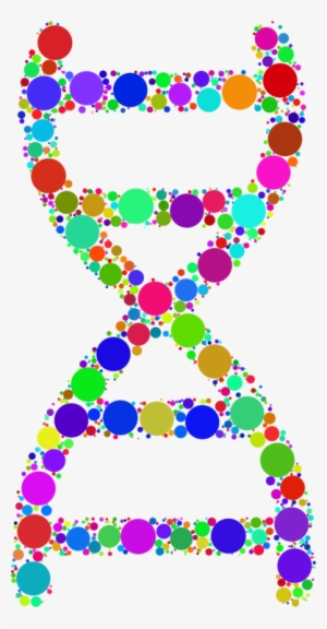 Nucleic Acid Double Helix Dna Circle Line - Dna