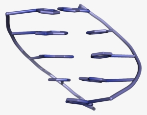 Cartoon Representation Of Base Stacking In A Dna Double - Stacking