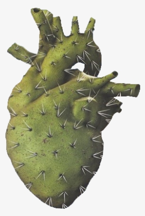 “ ₪ ” - Cactus Heart Tattoo
