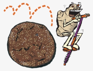 Ginger Jump-up - Chocolate Brownie