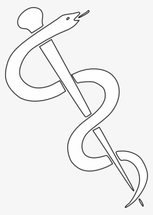 Medical Diary Record And Symptom Journal