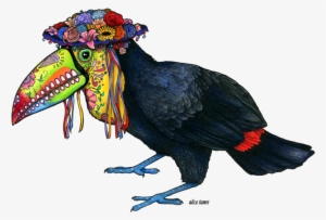 Keel Billed Toucan - Keel Billed Toucan Drawing