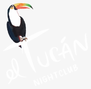 Logo - El Tucan Miami