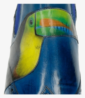 Ankle Boots Amelie 44 Bluette Screen Shot Tucan - Macaw