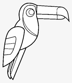 Dibujo De Pájaro Tucán Para Colorear - Drawing
