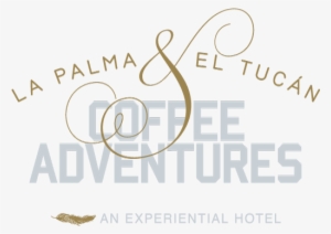 La Palma & El Tucan Coffee Adventures Is A Coffee Experience - Desert Travel Magazine