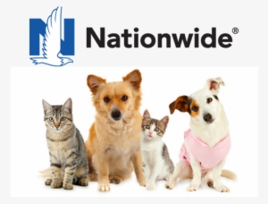 Nationwide Pet Insurance Review
