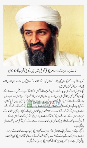 Usama - Remington Peters Navy Seal