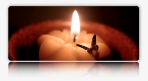 Moth To A Flame