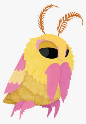 Pin By Crystal Woods On Simply Beautiful - Rosy Maple Moth Art