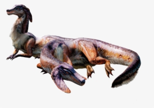 Jaggi And Jaggia
