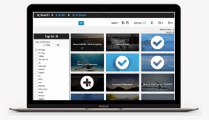 Access Your Vimeo Portfolio - Plug-in