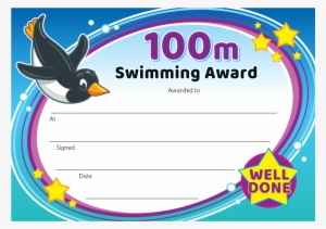 100m Swimming Certificate