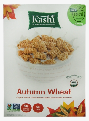 Kashi Promise Autumn Wheat Organic Cereal Box-16 - Kashi Cereal