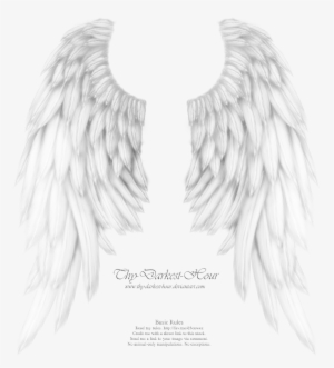 Realistic Angel Wings - My Boyfriend Is My Guardian Angel He Watches Over My