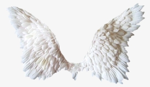 White Wings Png Tubes Ailes Ange Et De Papillon - Chariot Riders: Held By Angels