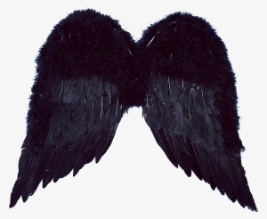 Realistic Angel Wings Png For Kids - Png Edit Angel Wings