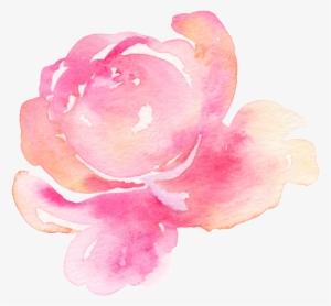 Pink Cute Floral Transparent - Design