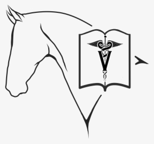 Hvb Logo Png - Sketch