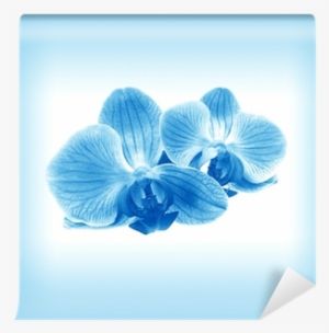 Beautiful Pink Orchid And Hi Note Cards (pk Of 20)