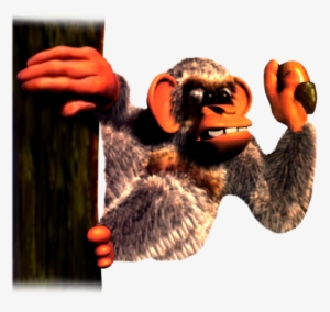 Diddy Kong And Dixie Kong Costume - Donkey Kong 3 Country Minkey