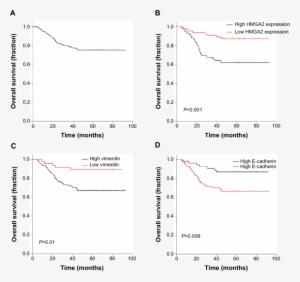 A) Kaplan Meier Survival Curves Of Overall Survival - Common Fig