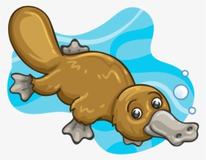 Patty Platypus - Platypus
