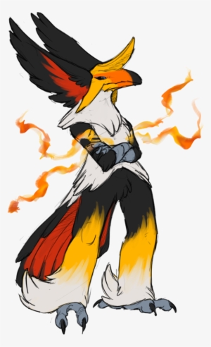 Toucan Mega Toucan = Hornbill Blaziken - Pokémon