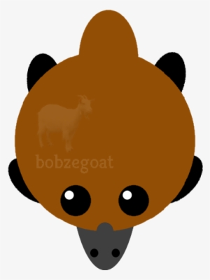 Io Platypus Just Art - Art