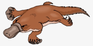 Platypus Clip Art - Custom Brown Platypus Mugs