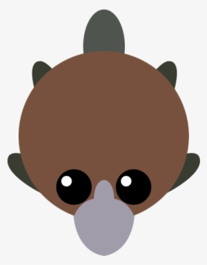 Platypus - Theimprint Singapore
