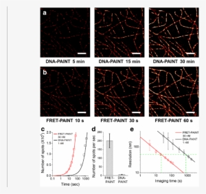 Comparison Of The Imaging Speeds Of Dna Paint And Fret - Diagram