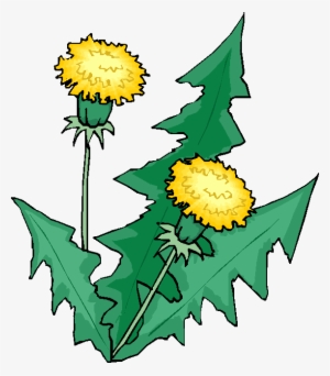 Almost Everyone In The World Either Owns Or Has Access - Food Nutrient Cycle Example