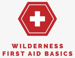 Aimu Wildernessfirstaidbasics - Logo