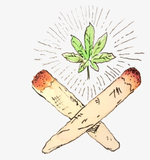 An Orlando Writer Gets Baked At A - Orlando