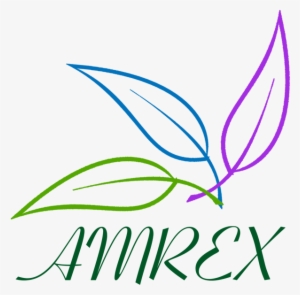 Summary - American Growth Fund Series Two Class E