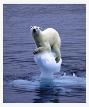 2094700242 Fd4a1b782c O - Global Warming Polar Bear