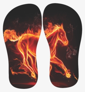 Chinelo Tipo Havaiana Notas Musicais - Cool 3d Animals Background