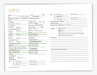 Our Watercolor Floral Invitation Suite Is Inspired - Plata Pulseras De Ojos Turcos