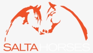 Salta Horses - Superstation Wgn