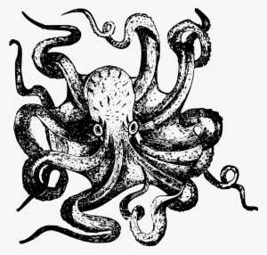 Human Brain Project On Twitter - Octopus Tentacle Png Black