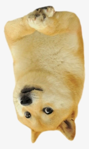 Tracker By Slava Kim - Doge Funded Jamaican Bobsled Team Mousepad