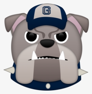 The Washington Post Image Royalty Free Library - Pug