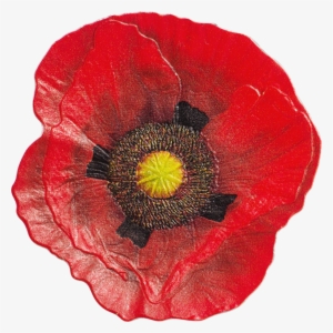 Remembrance Poppy - 2017 Remembrance Poppy Colour 1oz Silver Proof-like