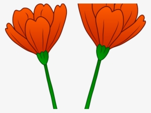 Share - Poppy Clipart Png