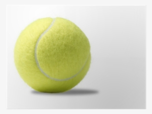 Yellow Tennis Ball On A White Background Poster • Pixers® - Soft Tennis
