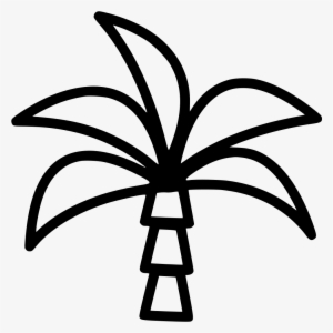 Palm Tree - - Icon
