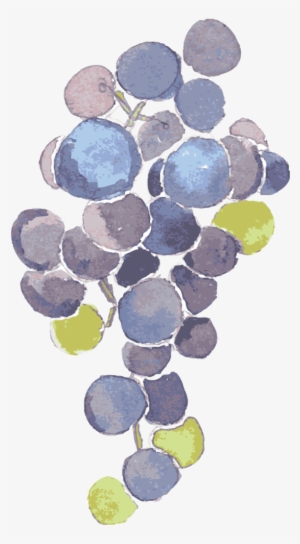 Grape