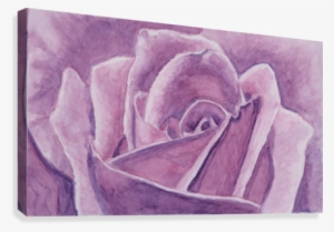 Rose Closeup Canvas Print - Art